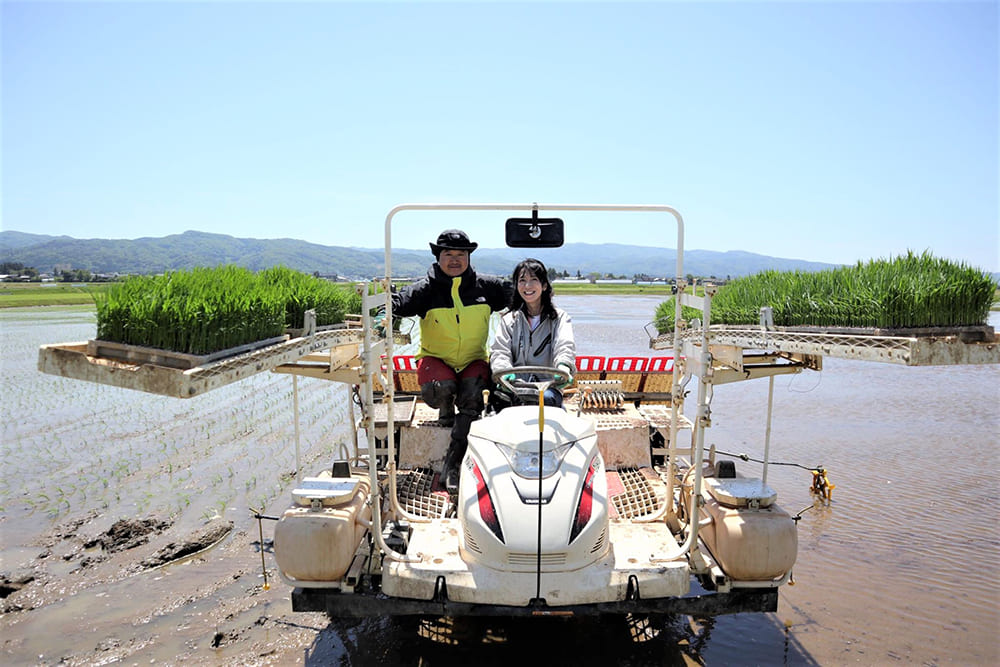 Aida’s rice paddies