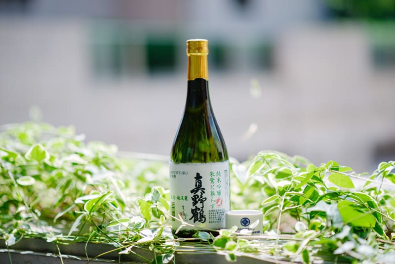 Live with toki in rice paddies